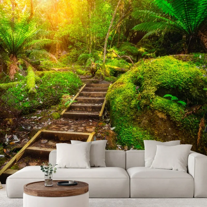 Fototapeta ścieżka w lesie deszczowym na Półwyspie Tasmańskim