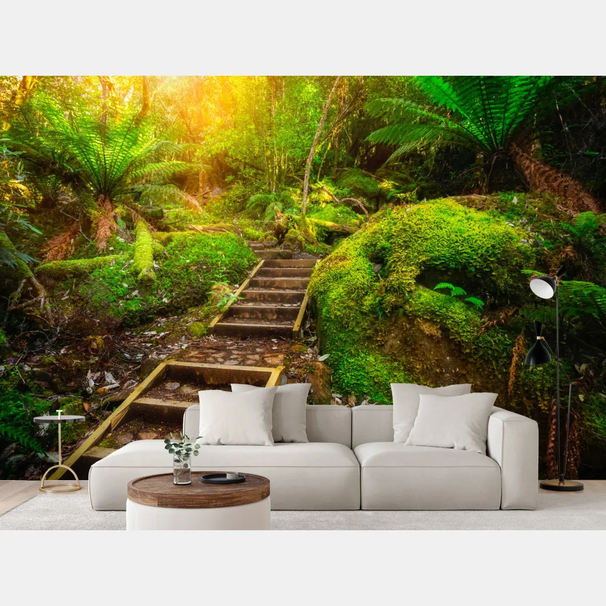 Fototapeta ścieżka w lesie deszczowym na Półwyspie Tasmańskim – Wallissimo® Fototapeta ścieżka w lesie deszczowym na Półwyspie Tasmańskim – Wallissimo®