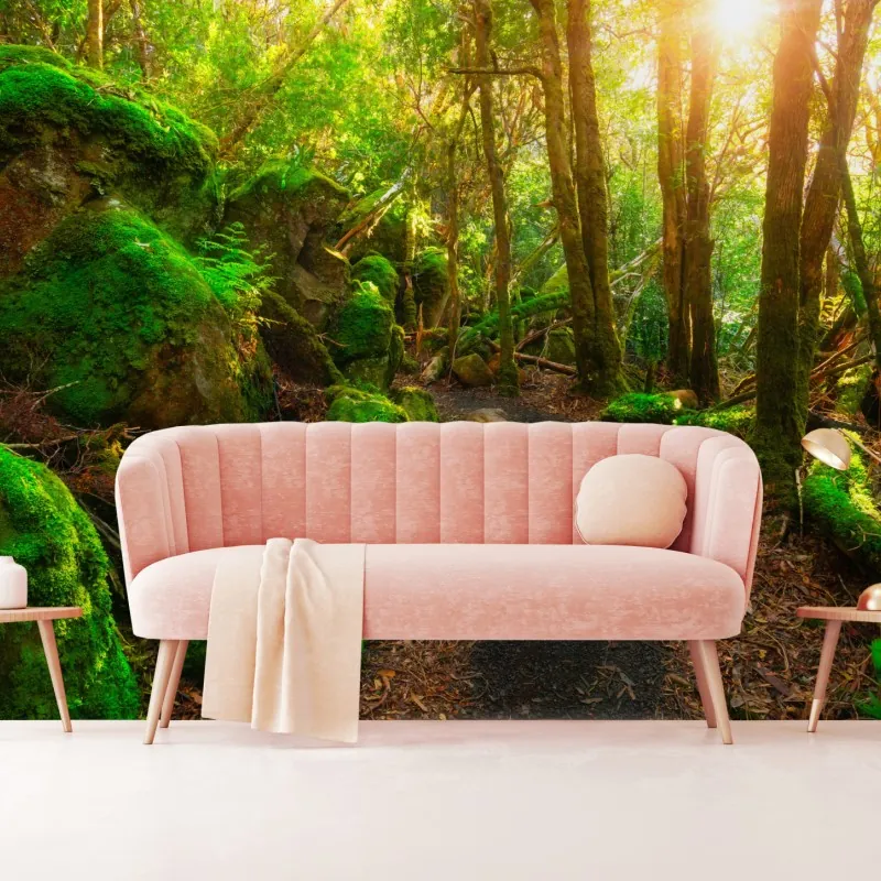 Fototapeta słoneczna ścieżka w lesie deszczowym Półwyspu Tasman, Tasmania