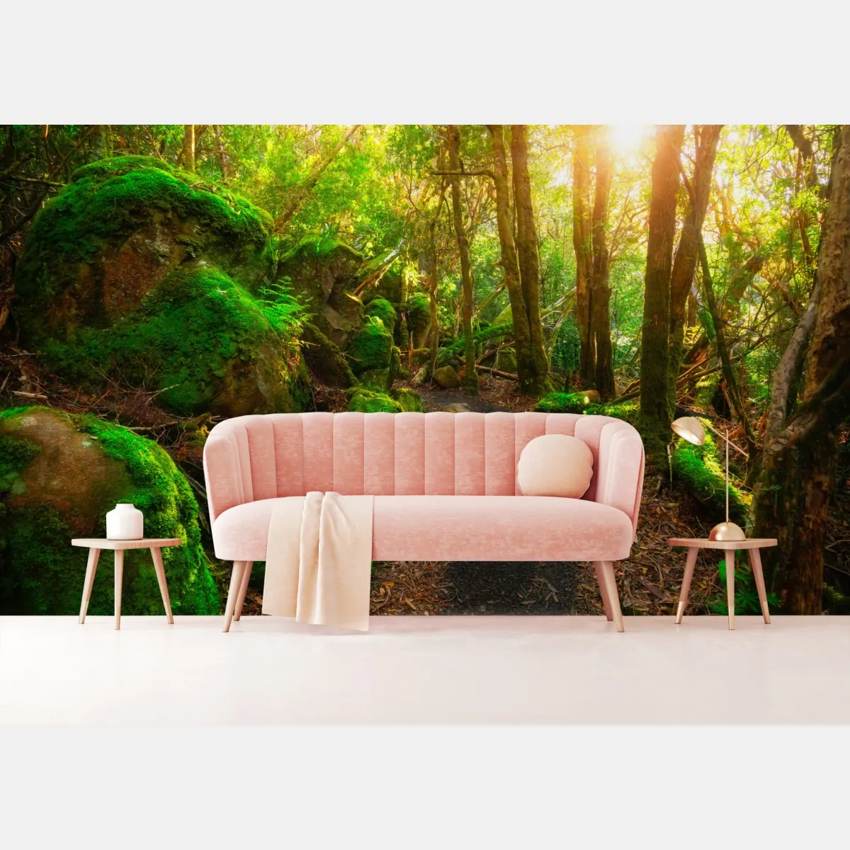 Fototapeta słoneczna ścieżka w lesie deszczowym Półwyspu Tasman, Tasmania – Wallissimo® Fototapeta słoneczna ścieżka w lesie deszczowym Półwyspu Tasman, Tasmania – Wallissimo®