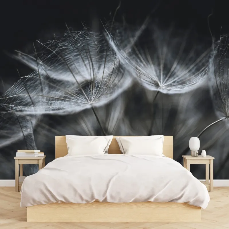 Fototapeta delikatne nasiona mniszka w monochromie