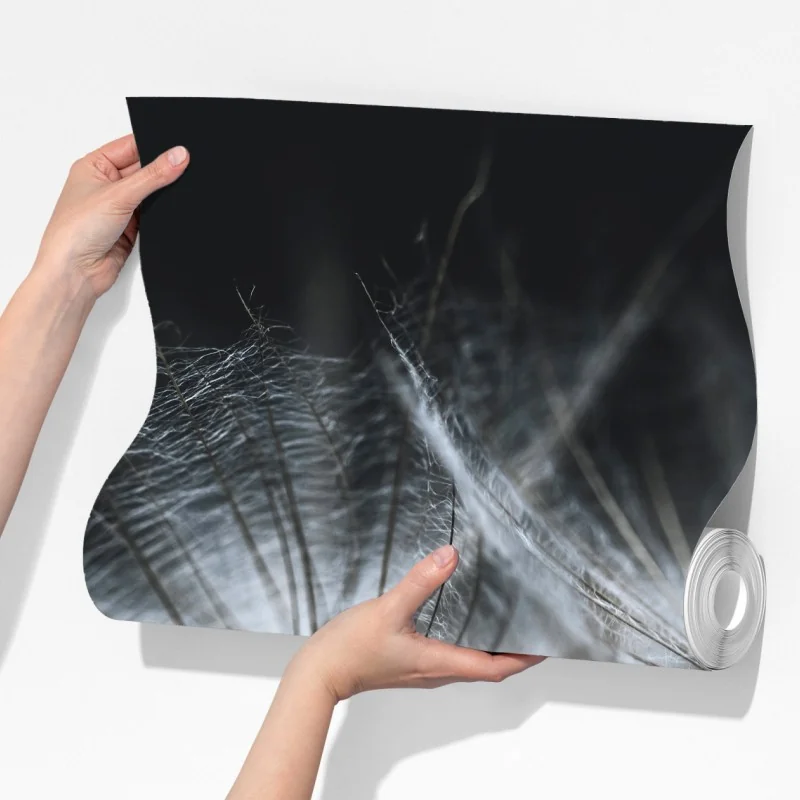 Fototapeta delikatne nasiona mniszka w monochromie – Wallissimo® Fototapeta delikatne nasiona mniszka w monochromie – Wallissimo®