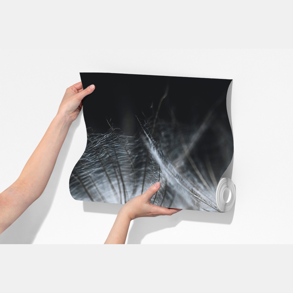 Fototapeta delikatne nasiona mniszka w monochromie – Wallissimo® Fototapeta delikatne nasiona mniszka w monochromie – Wallissimo®