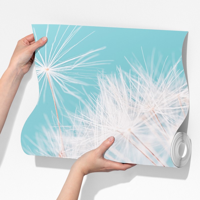 Fototapeta delikatny dmuchawiec na turkusowym tle – Wallissimo® Fototapeta delikatny dmuchawiec na turkusowym tle – Wallissimo®