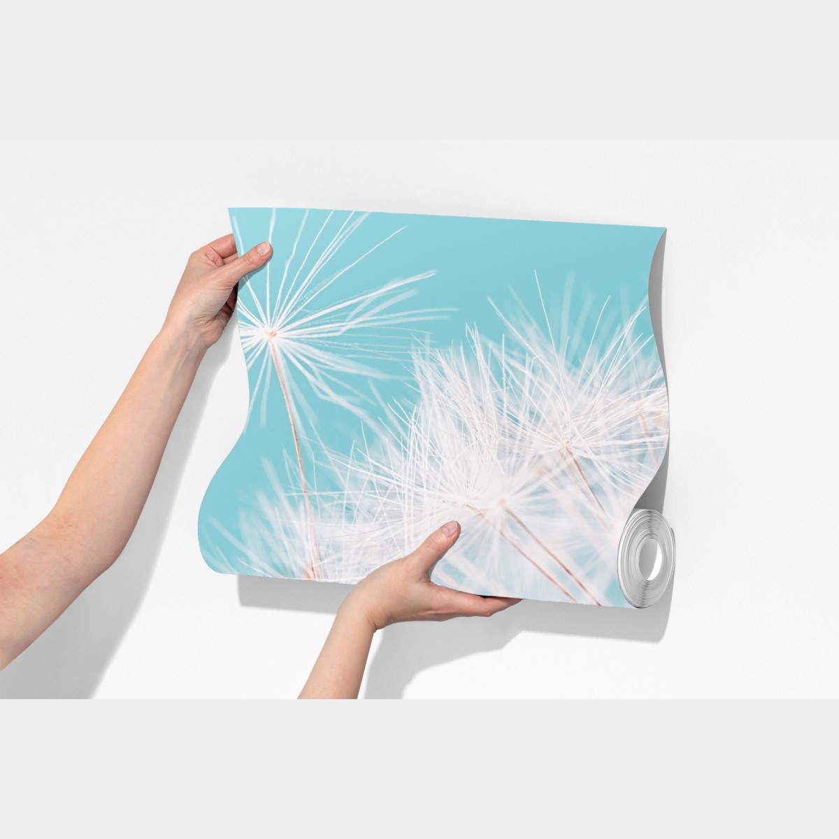 Fototapeta delikatny dmuchawiec na turkusowym tle – Wallissimo® Fototapeta delikatny dmuchawiec na turkusowym tle – Wallissimo®