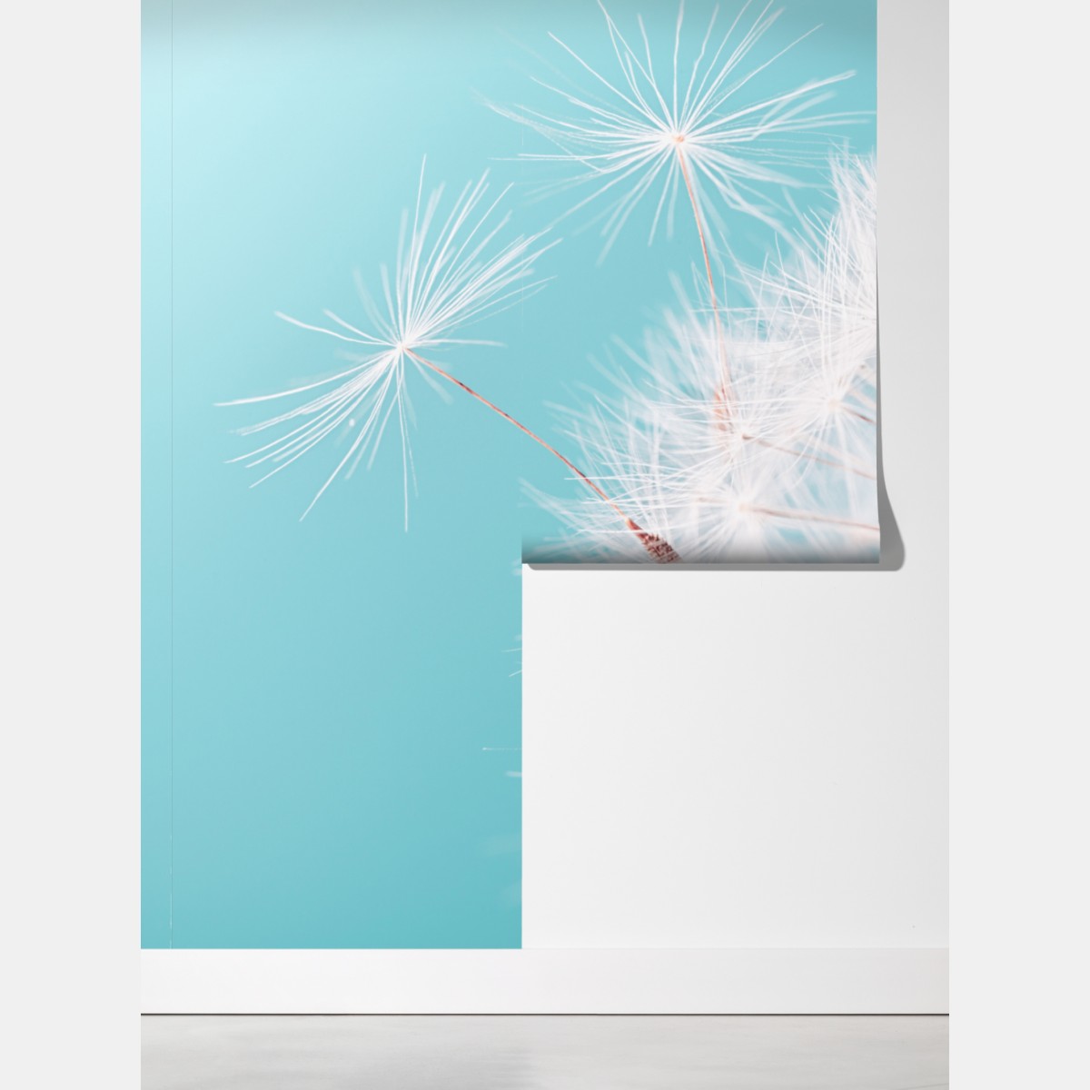 Fototapeta delikatny dmuchawiec na turkusowym tle – Wallissimo® Fototapeta delikatny dmuchawiec na turkusowym tle – Wallissimo®