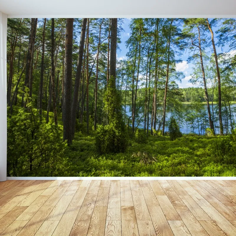 Fototapeta spokojny las sosnowy nad jeziorem – Wallissimo® Fototapeta spokojny las sosnowy nad jeziorem – Wallissimo®