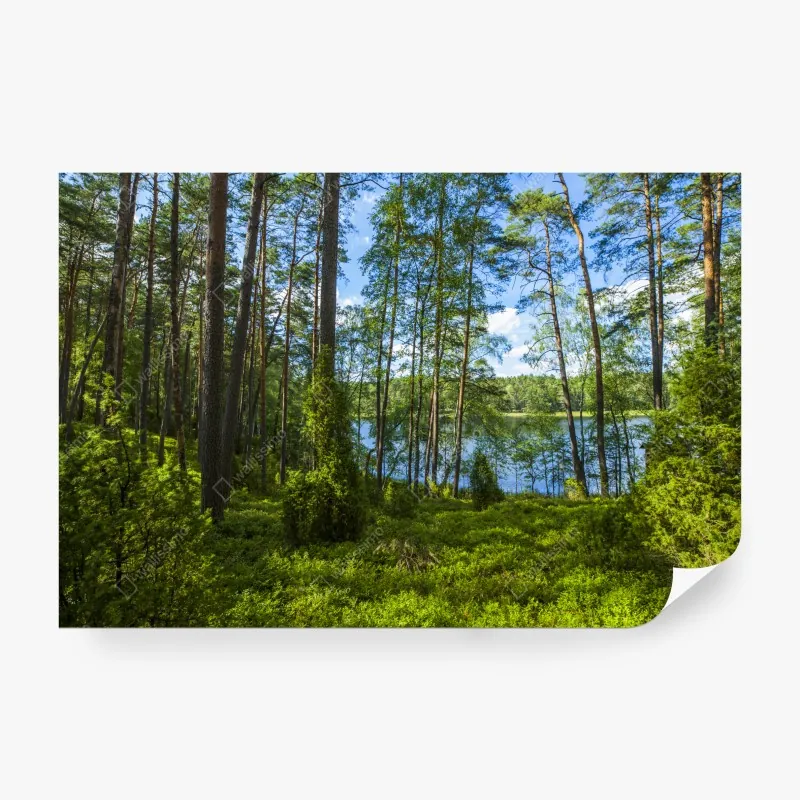 Fototapeta spokojne alpejskie jezioro odbijające ośnieżone szczyty i jesienne drzewa – Wallissimo®