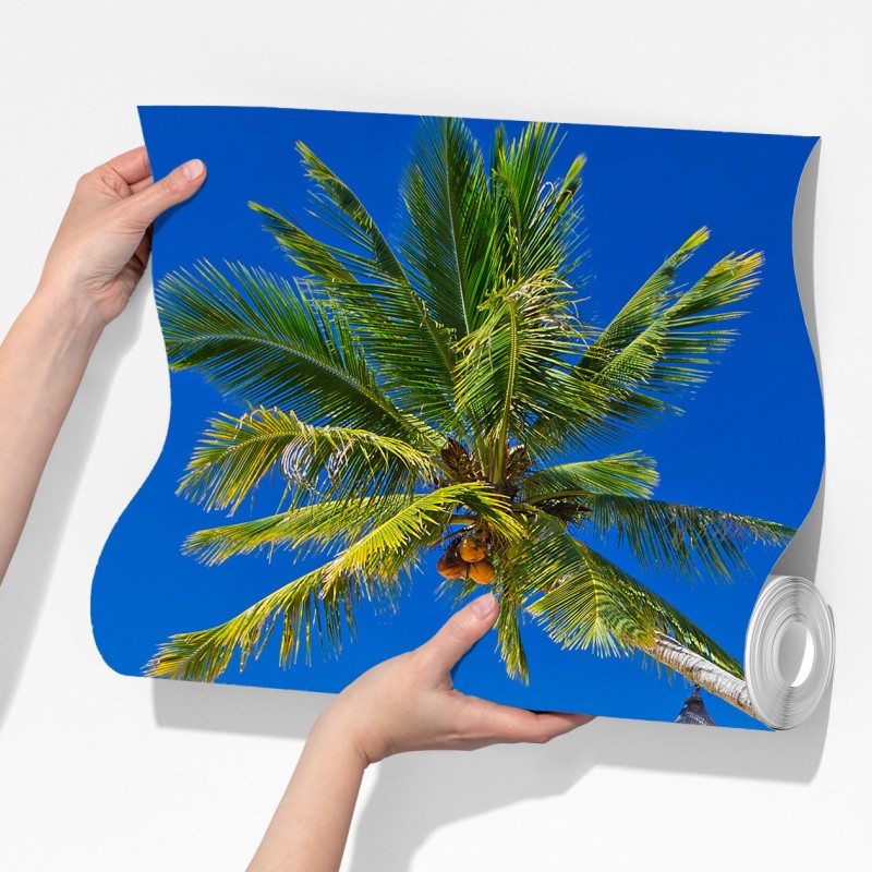 Fototapeta tropikalna plaża z niebieskim kapeluszem – Wallissimo® Fototapeta tropikalna plaża z niebieskim kapeluszem – Wallissimo®