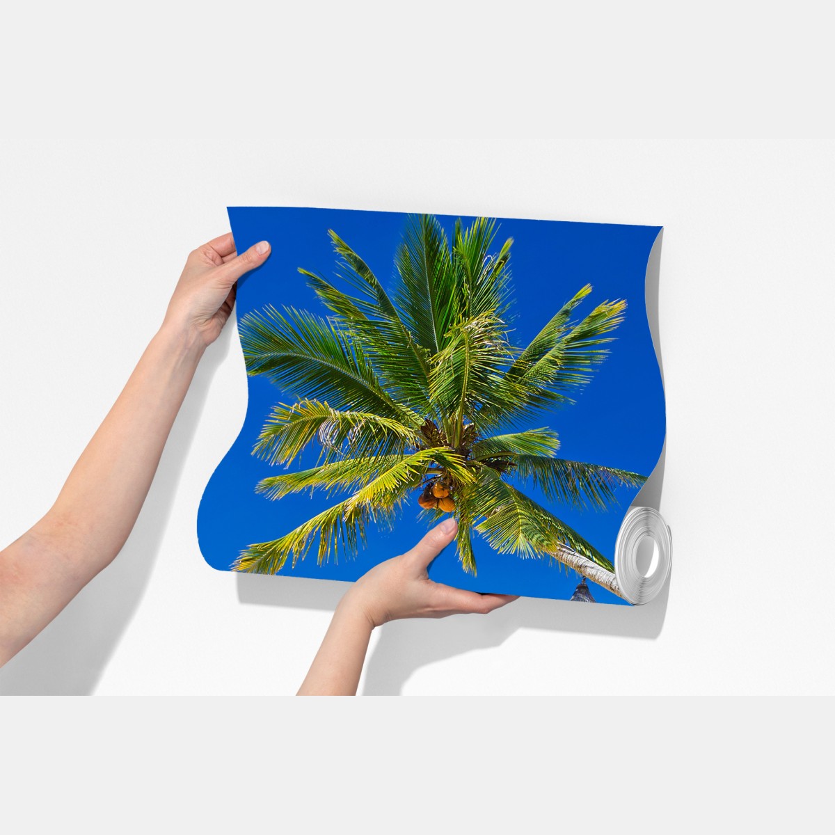 Fototapeta tropikalna plaża z niebieskim kapeluszem – Wallissimo® Fototapeta tropikalna plaża z niebieskim kapeluszem – Wallissimo®