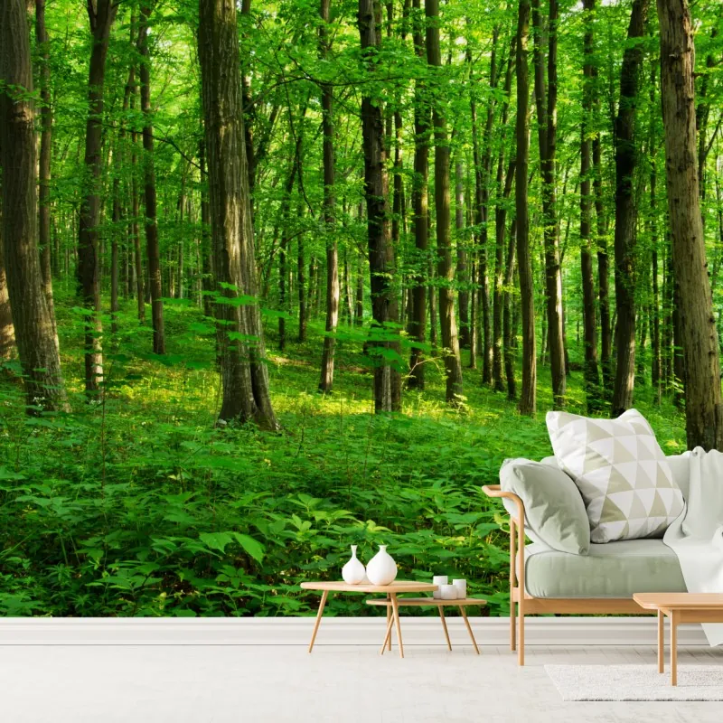 Fototapeta słoneczny zielony las wiosną