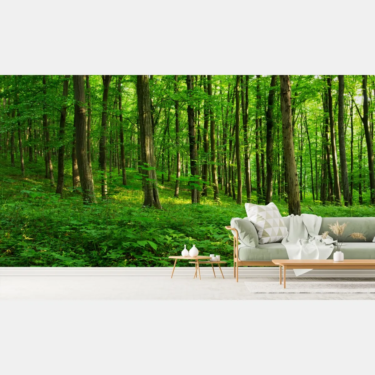 Fototapeta słoneczny zielony las wiosną – Wallissimo® Fototapeta słoneczny zielony las wiosną – Wallissimo®