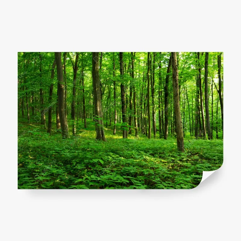 Fototapeta Monako panorama wybrzeża o zmierzchu – Wallissimo®