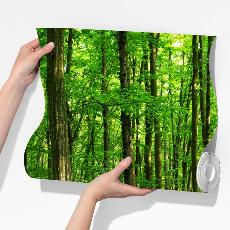 Fototapeta słoneczny zielony las wiosną – Wallissimo® Fototapeta słoneczny zielony las wiosną – Wallissimo®