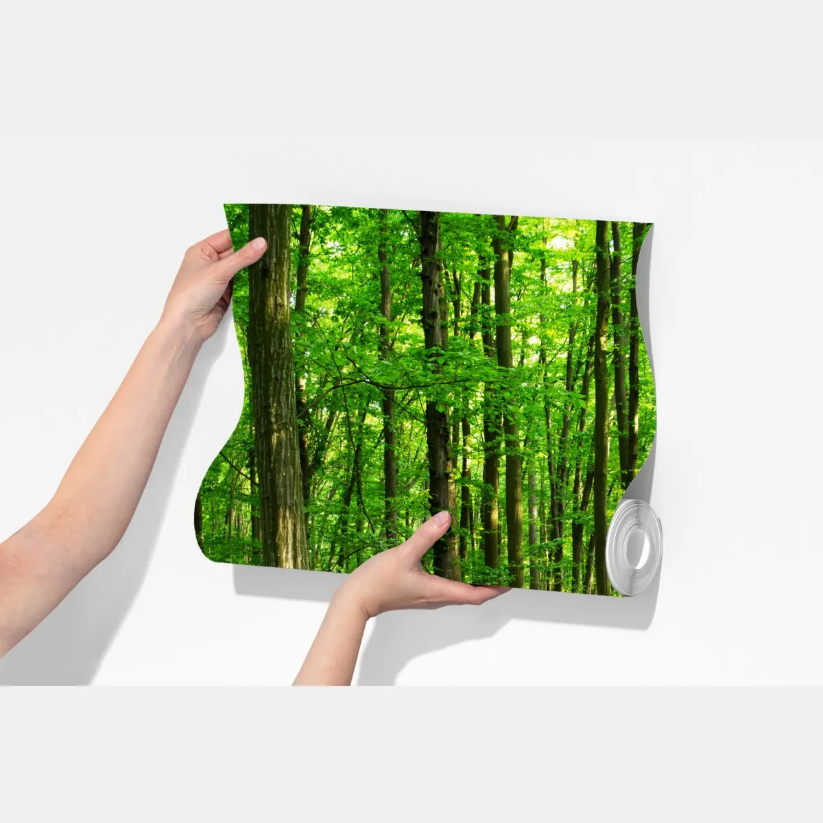 Fototapeta słoneczny zielony las wiosną – Wallissimo® Fototapeta słoneczny zielony las wiosną – Wallissimo®