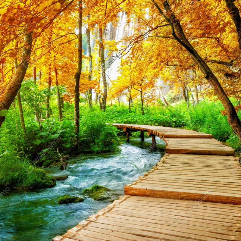 Fototapeta złoty pomost w lesie nad Plitwickimi Jeziorami – Wallissimo® Fototapeta złoty pomost w lesie nad Plitwickimi Jeziorami – Wallissimo®