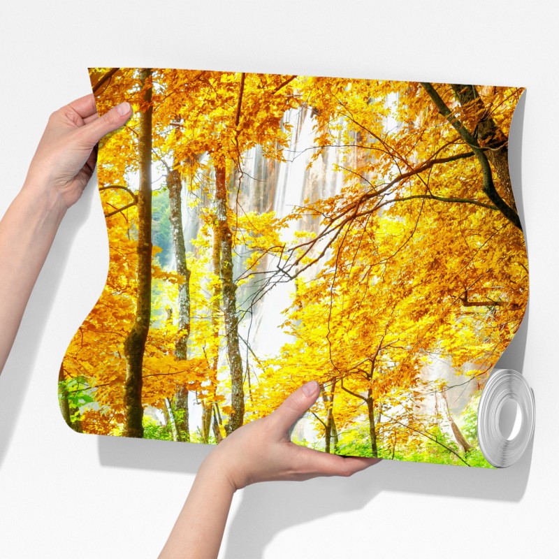 Fototapeta złoty pomost w lesie nad Plitwickimi Jeziorami – Wallissimo® Fototapeta złoty pomost w lesie nad Plitwickimi Jeziorami – Wallissimo®