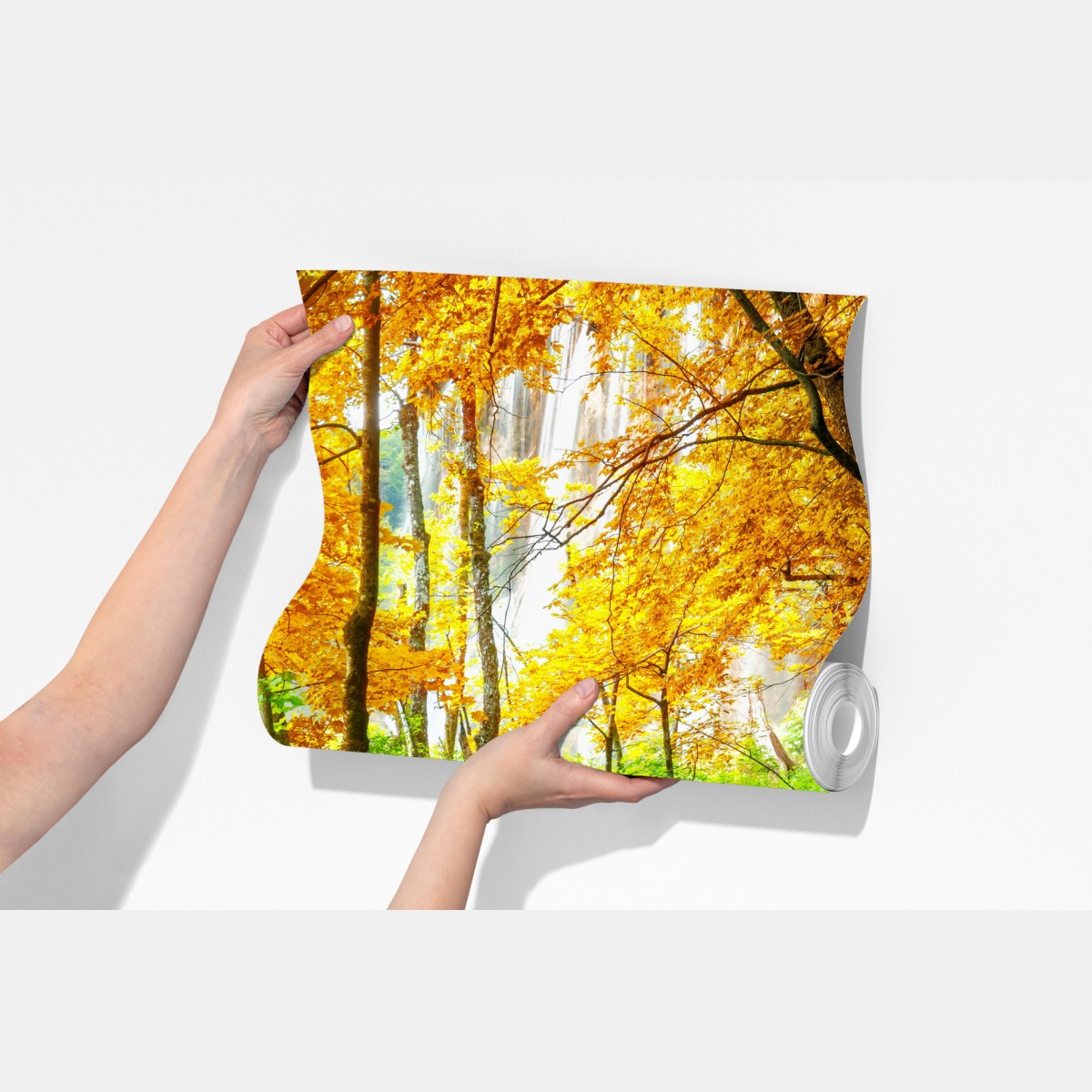 Fototapeta złoty pomost w lesie nad Plitwickimi Jeziorami – Wallissimo® Fototapeta złoty pomost w lesie nad Plitwickimi Jeziorami – Wallissimo®