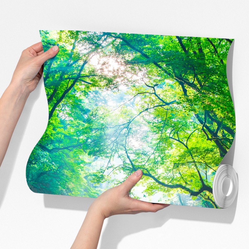 Fototapeta słoneczny leśny strumień z mchem – Wallissimo® Fototapeta słoneczny leśny strumień z mchem – Wallissimo®