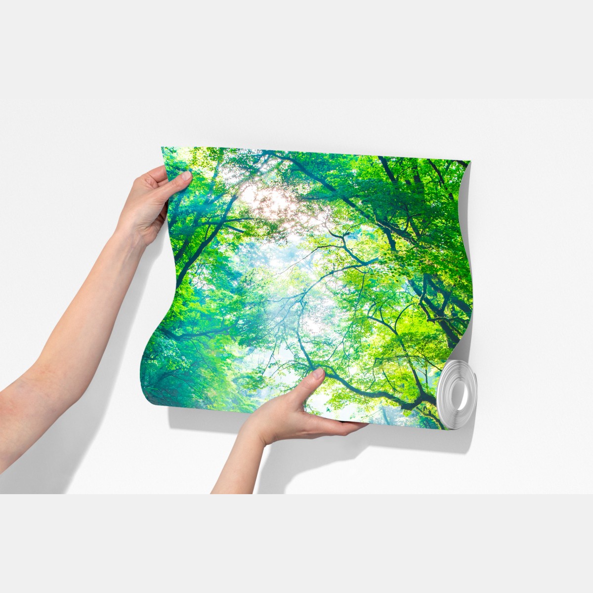 Fototapeta słoneczny leśny strumień z mchem – Wallissimo® Fototapeta słoneczny leśny strumień z mchem – Wallissimo®