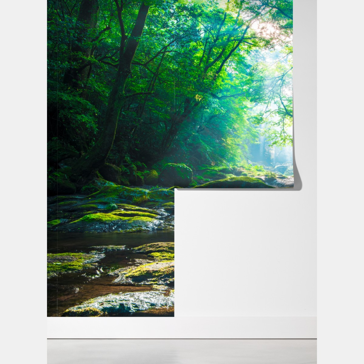 Fototapeta słoneczny leśny strumień z mchem – Wallissimo® Fototapeta słoneczny leśny strumień z mchem – Wallissimo®