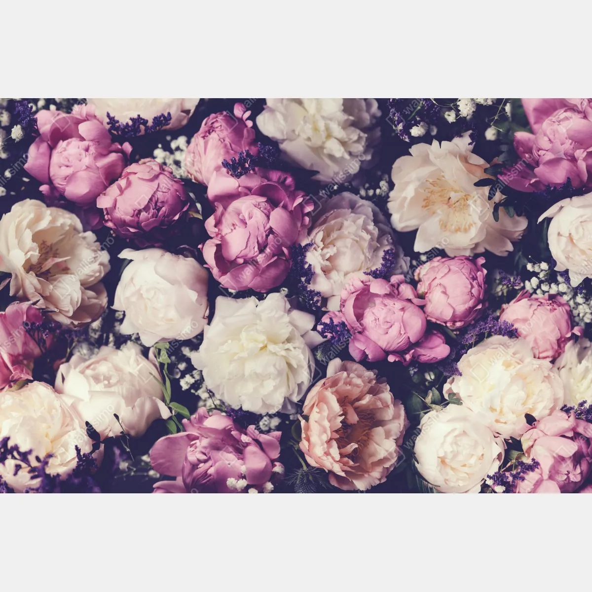 Fototapeta romantyczny bukiet piwonii w pastelowych tonach – Wallissimo® Fototapeta romantyczny bukiet piwonii w pastelowych tonach – Wallissimo®