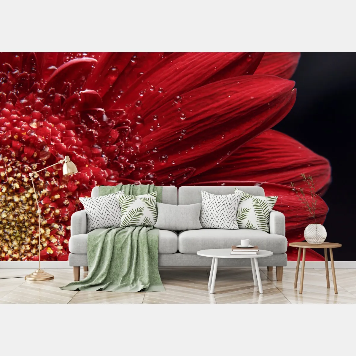 Fototapeta czerwona gerbera makro z kroplami rosy – Wallissimo® Fototapeta czerwona gerbera makro z kroplami rosy – Wallissimo®