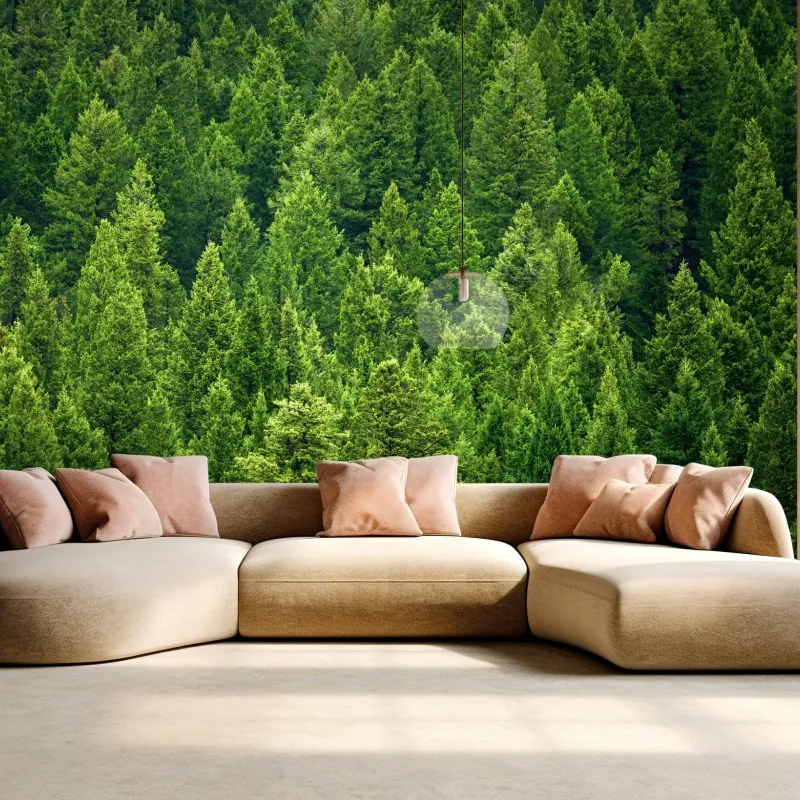 Fototapeta bujna korona lasu sosnowego