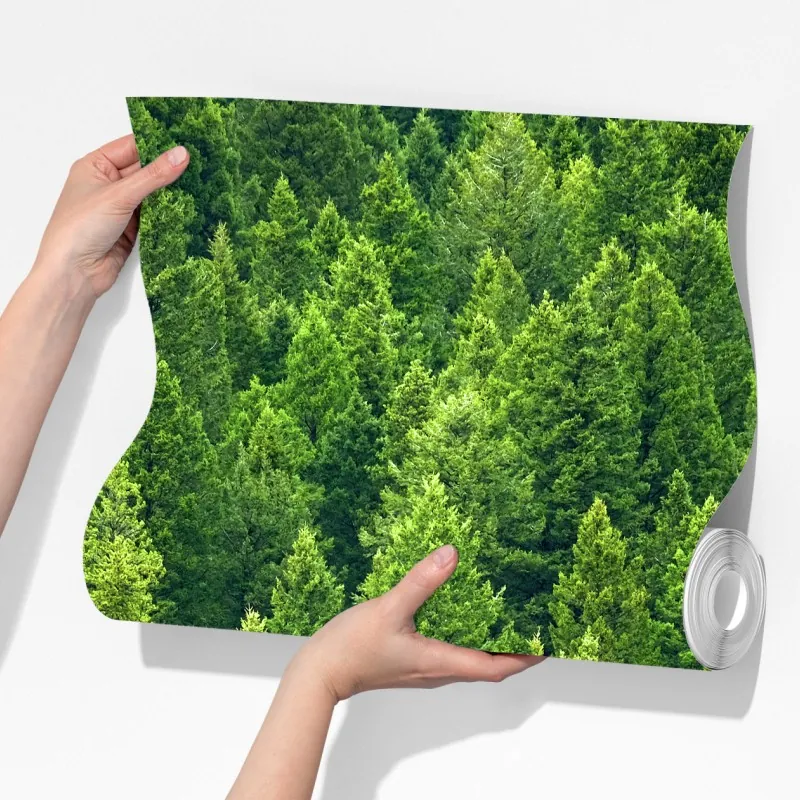 Fototapeta bujna korona lasu sosnowego – Wallissimo® Fototapeta bujna korona lasu sosnowego – Wallissimo®