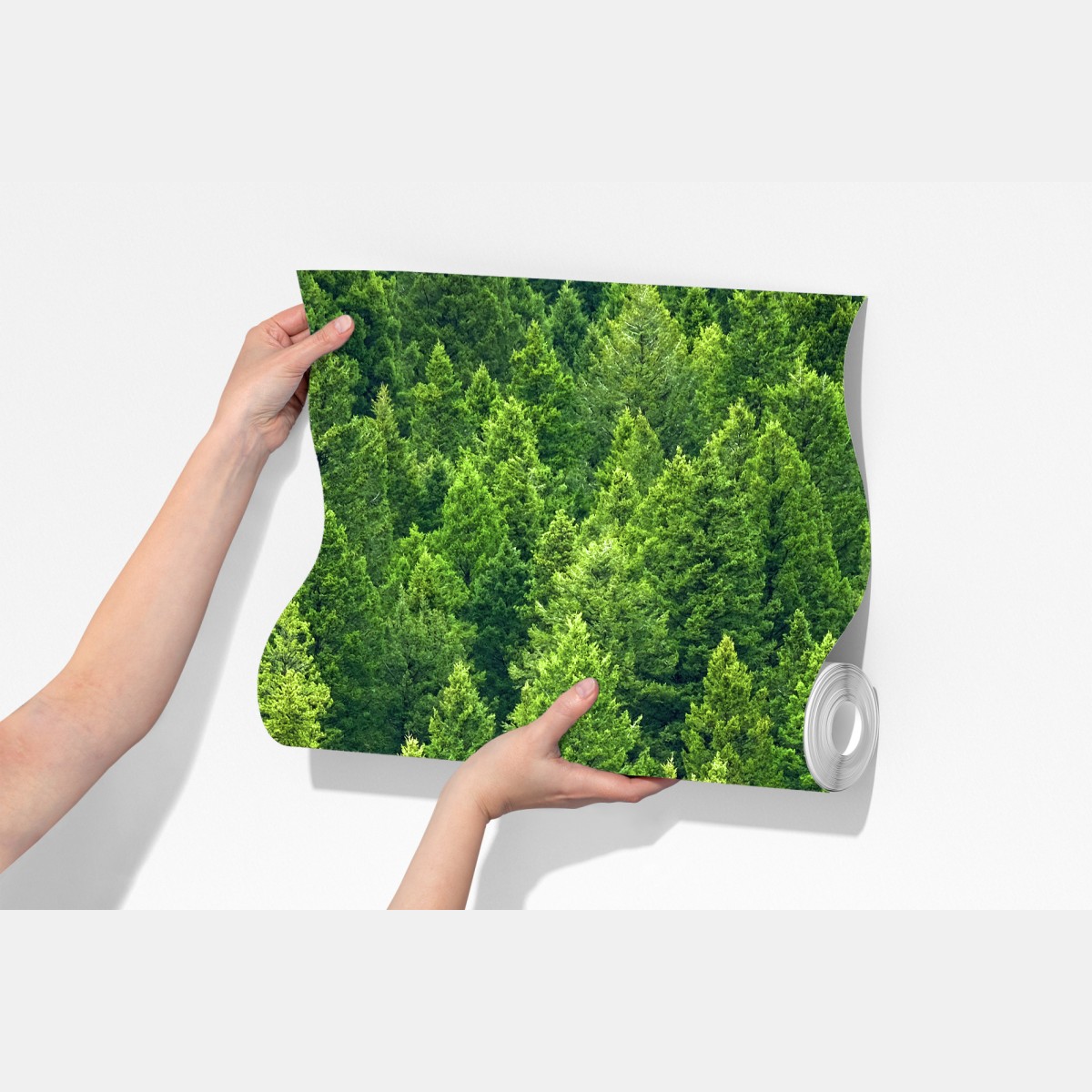 Fototapeta bujna korona lasu sosnowego – Wallissimo® Fototapeta bujna korona lasu sosnowego – Wallissimo®