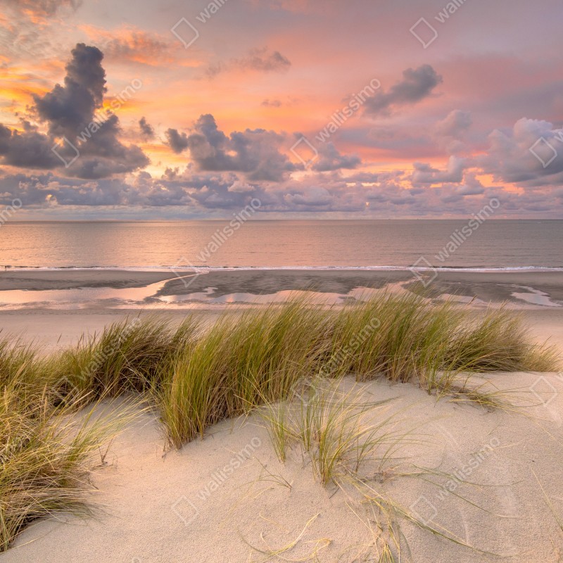 Fototapeta zachód słońca nad wydmami Zeeland – Wallissimo® Fototapeta zachód słońca nad wydmami Zeeland – Wallissimo®