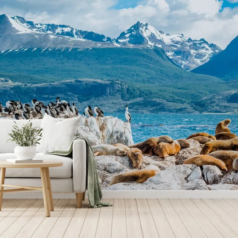 Fototapeta lwy morskie i ptaki na skalistym wybrzeżu – Wallissimo® Fototapeta lwy morskie i ptaki na skalistym wybrzeżu – Wallissimo®