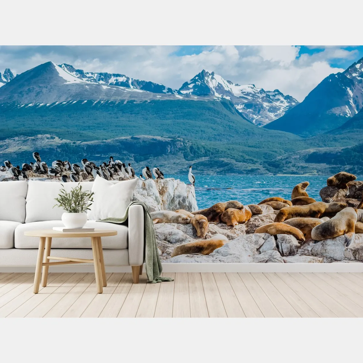 Fototapeta lwy morskie i ptaki na skalistym wybrzeżu – Wallissimo® Fototapeta lwy morskie i ptaki na skalistym wybrzeżu – Wallissimo®