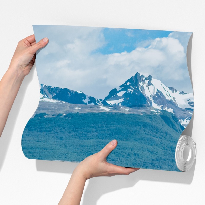 Fototapeta lwy morskie i ptaki na skalistym wybrzeżu – Wallissimo® Fototapeta lwy morskie i ptaki na skalistym wybrzeżu – Wallissimo®