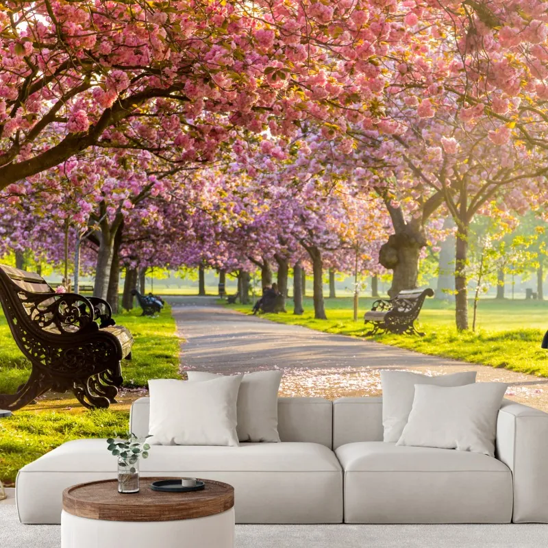 Fototapeta aleja kwitnących wiśni wiosną – Wallissimo® Fototapeta aleja kwitnących wiśni wiosną – Wallissimo®