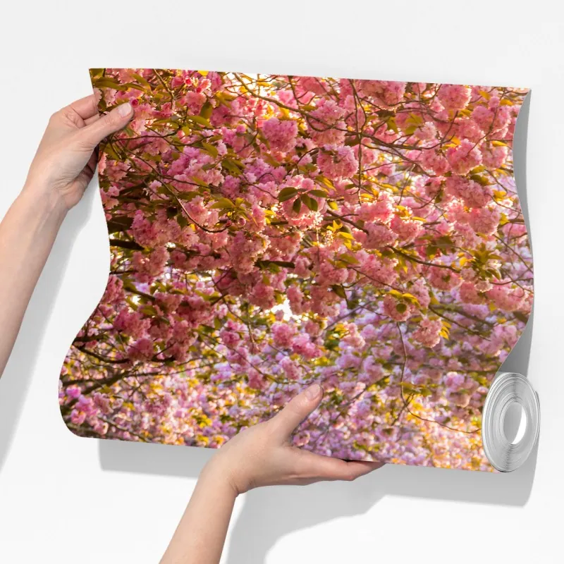 Fototapeta aleja kwitnących wiśni wiosną – Wallissimo® Fototapeta aleja kwitnących wiśni wiosną – Wallissimo®