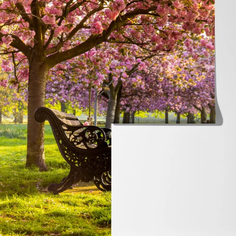 Fototapeta aleja kwitnących wiśni wiosną – Wallissimo® Fototapeta aleja kwitnących wiśni wiosną – Wallissimo®