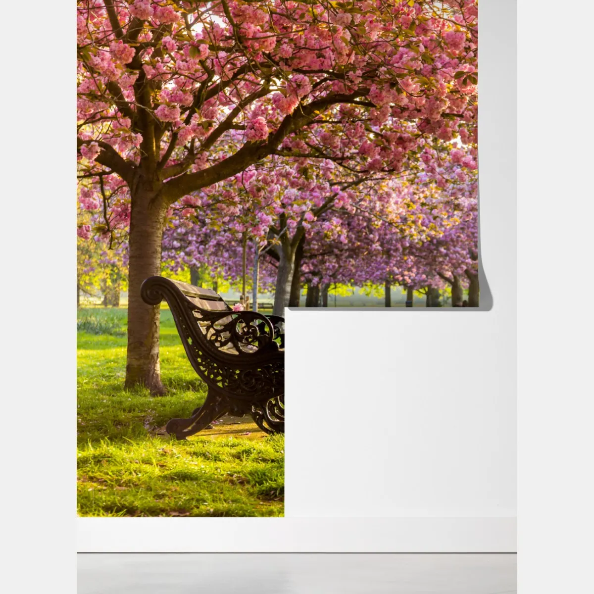 Fototapeta aleja kwitnących wiśni wiosną – Wallissimo® Fototapeta aleja kwitnących wiśni wiosną – Wallissimo®