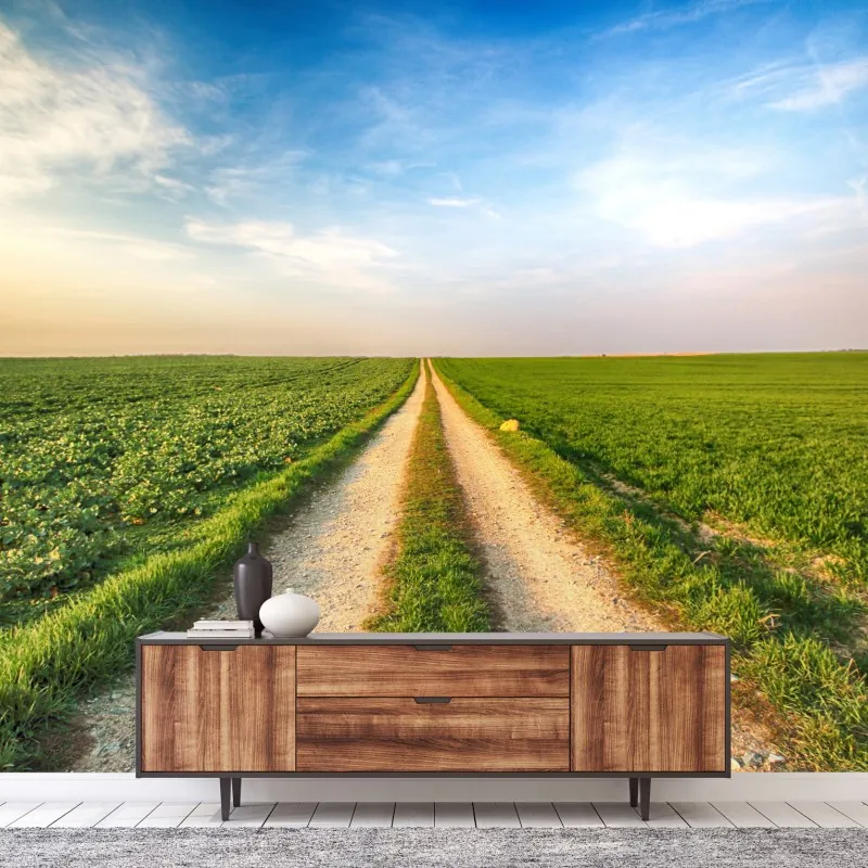 Fototapeta polna droga przez zielone pola