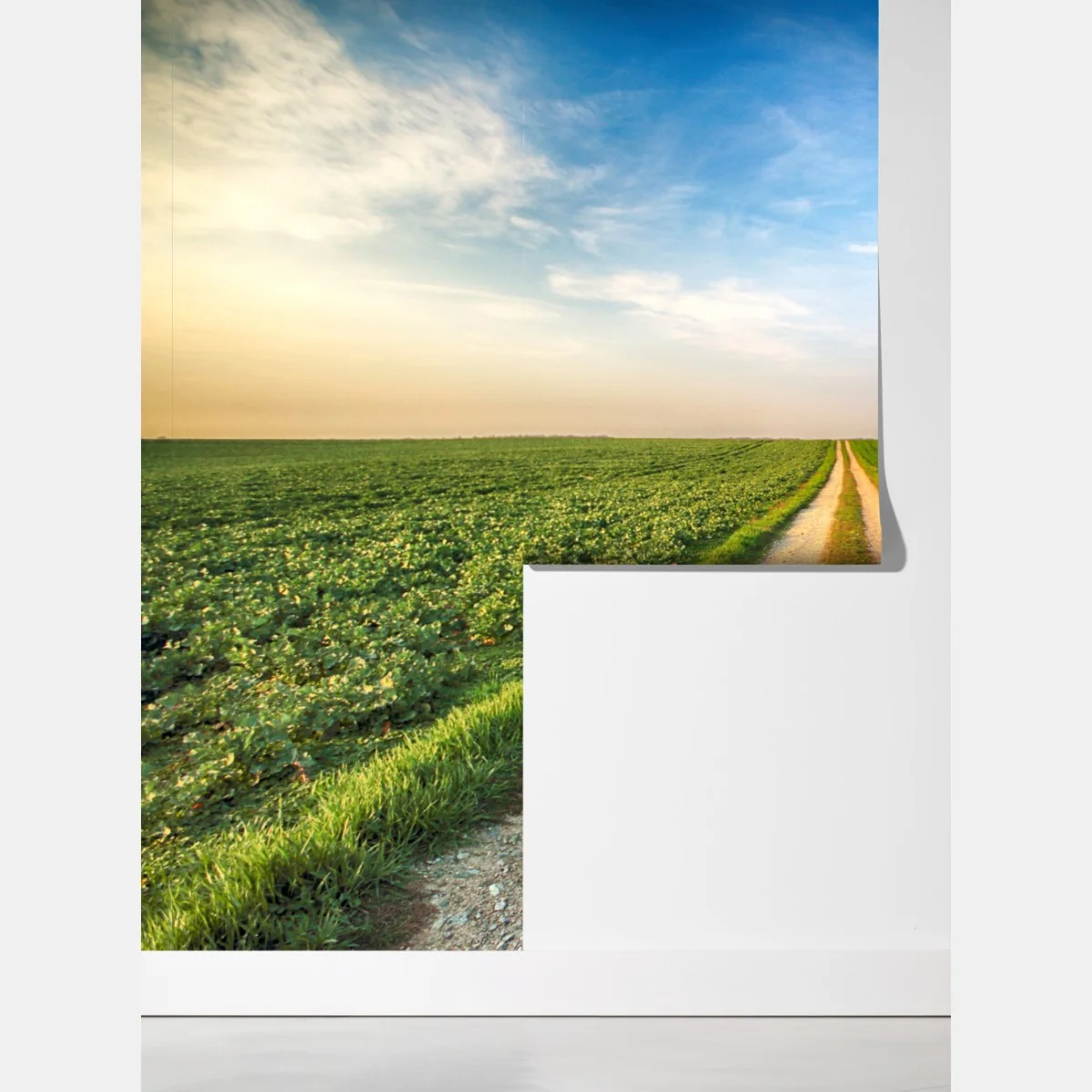 Fototapeta polna droga przez zielone pola – Wallissimo® Fototapeta polna droga przez zielone pola – Wallissimo®