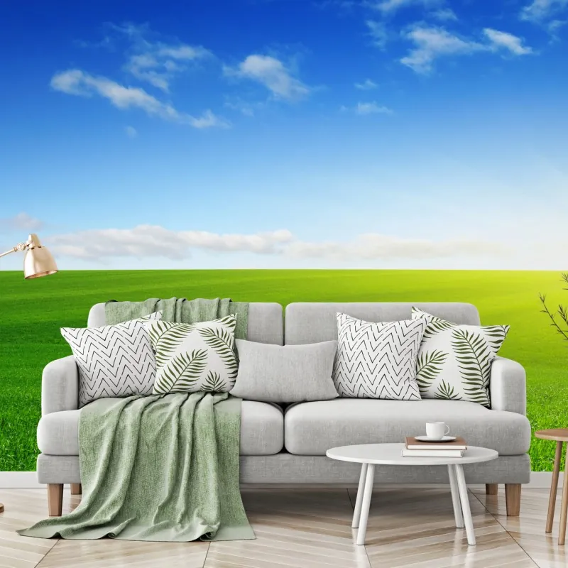 Fototapeta słoneczna zielona łąka o wschodzie