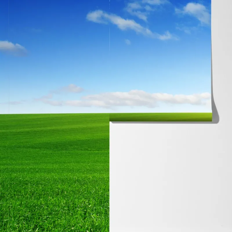 Fototapeta słoneczna zielona łąka o wschodzie – Wallissimo® Fototapeta słoneczna zielona łąka o wschodzie – Wallissimo®