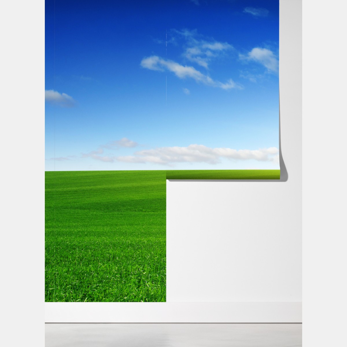 Fototapeta słoneczna zielona łąka o wschodzie – Wallissimo® Fototapeta słoneczna zielona łąka o wschodzie – Wallissimo®