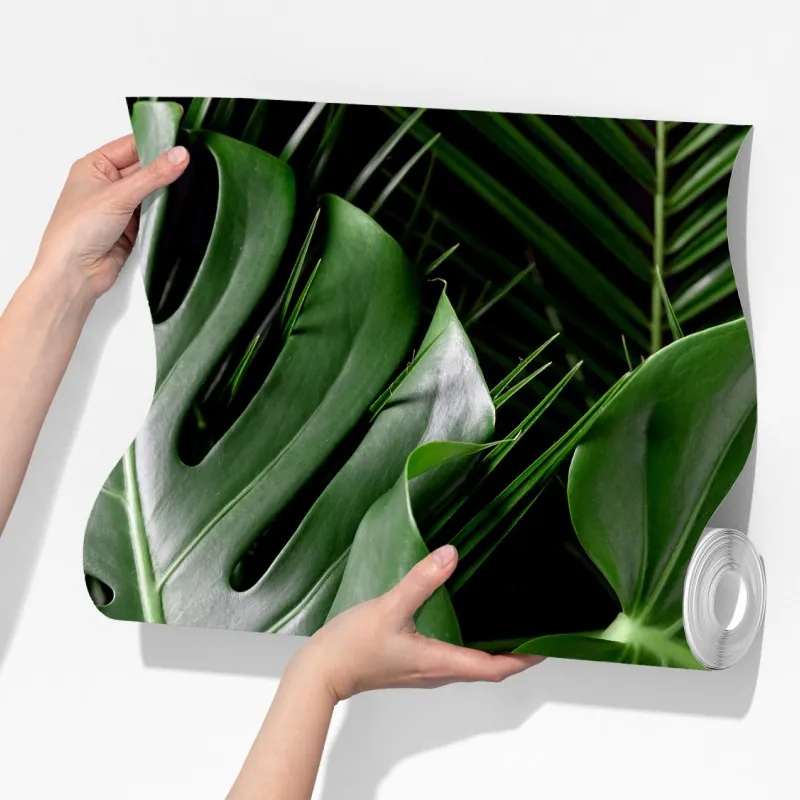 Fototapeta bujne liście monstery – Wallissimo® Fototapeta bujne liście monstery – Wallissimo®