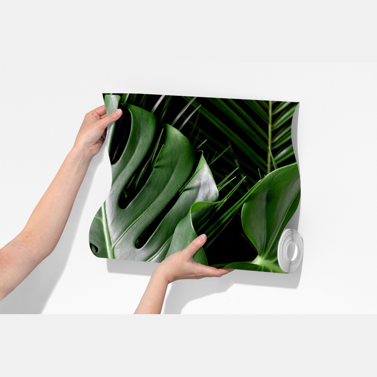 Fototapeta bujne liście monstery – Wallissimo® Fototapeta bujne liście monstery – Wallissimo®