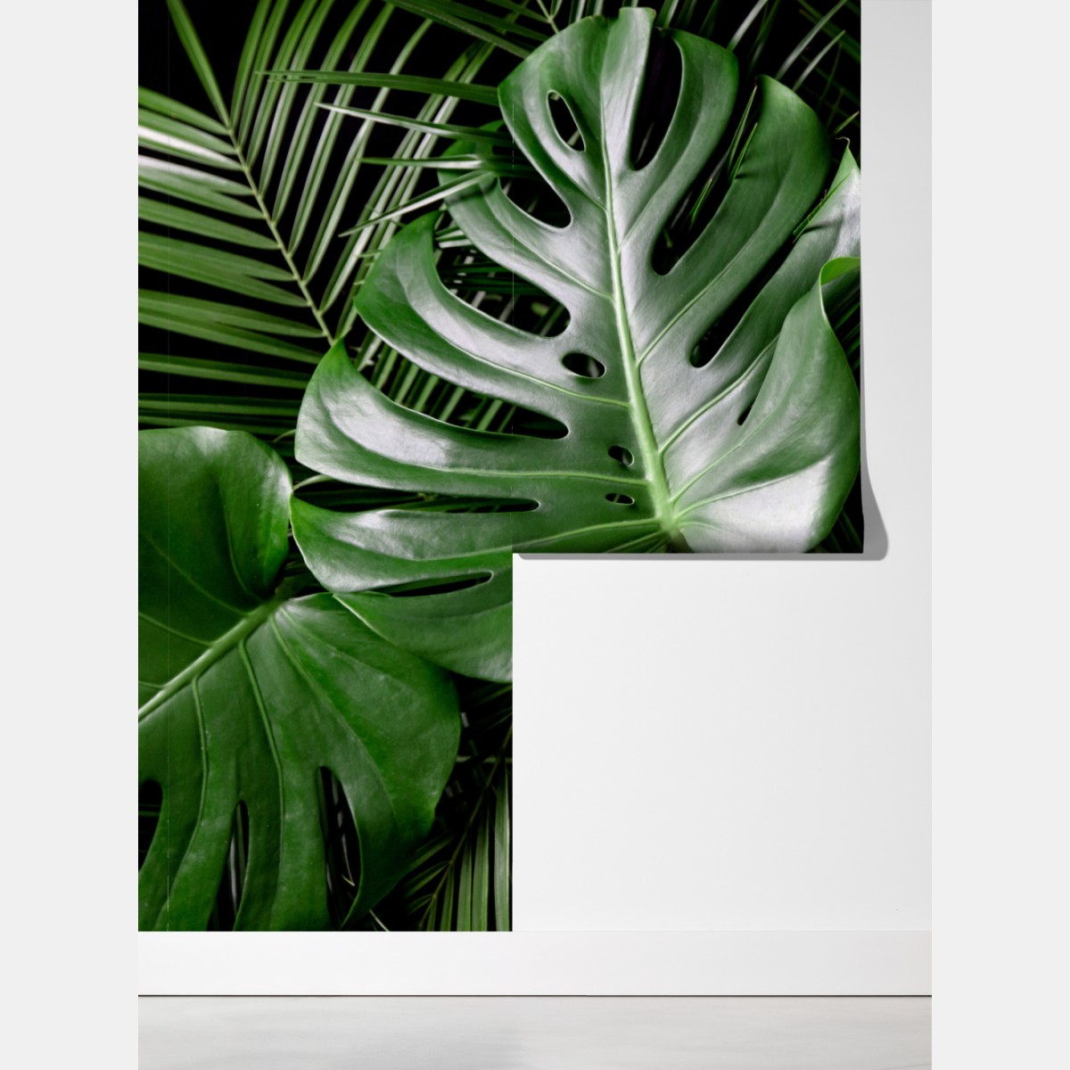 Fototapeta bujne liście monstery – Wallissimo® Fototapeta bujne liście monstery – Wallissimo®