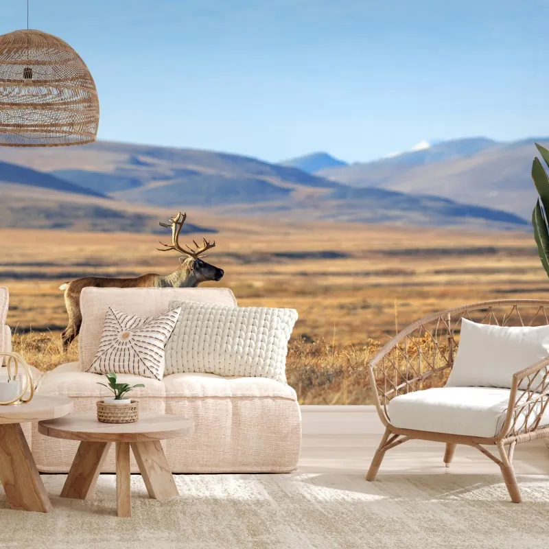 Fototapeta samotny renifer w tundrze w Czukotce – Wallissimo® Fototapeta samotny renifer w tundrze w Czukotce – Wallissimo®