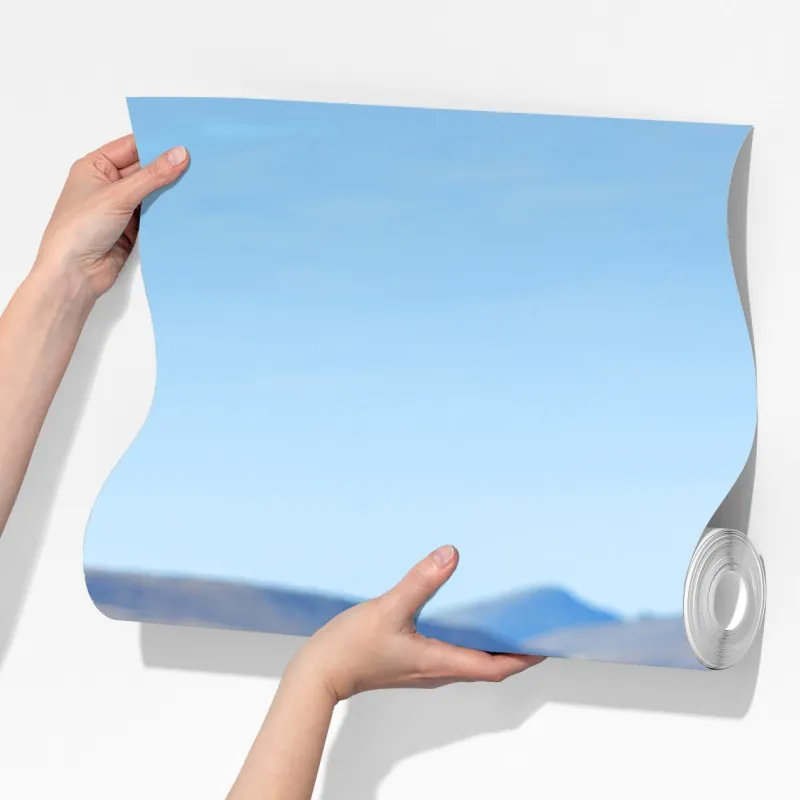 Fototapeta samotny renifer w tundrze w Czukotce – Wallissimo® Fototapeta samotny renifer w tundrze w Czukotce – Wallissimo®