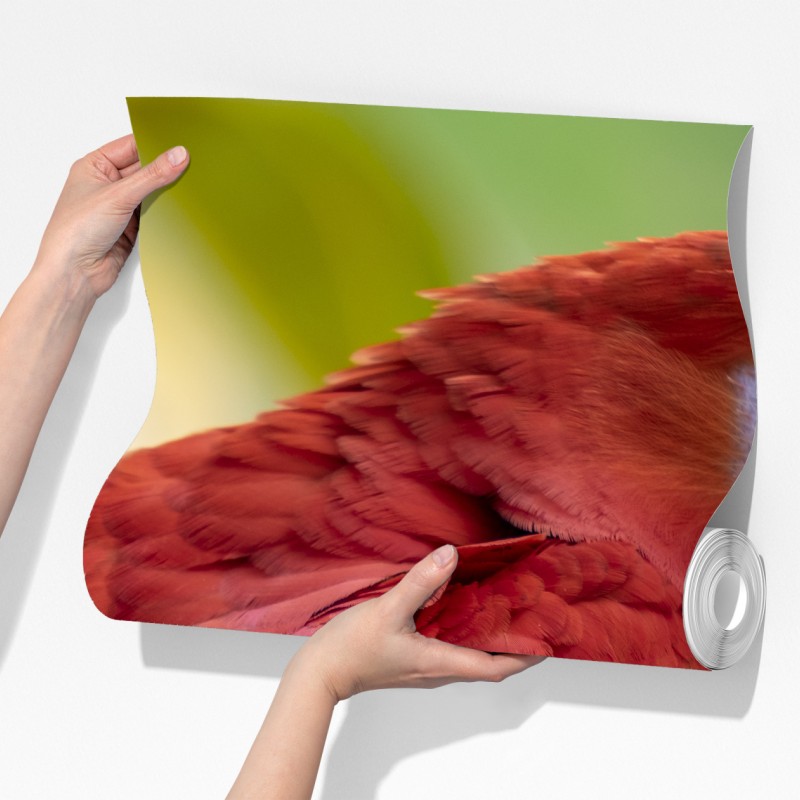 Fototapeta wyrazisty portret ary szkarłatnej – Wallissimo® Fototapeta wyrazisty portret ary szkarłatnej – Wallissimo®