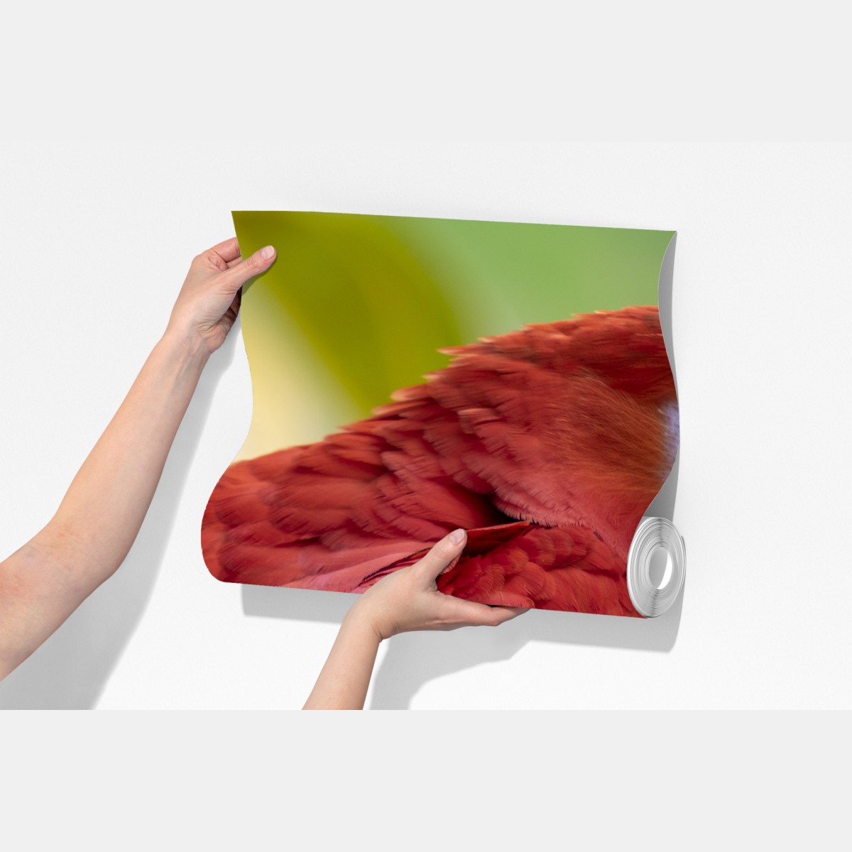 Fototapeta wyrazisty portret ary szkarłatnej – Wallissimo® Fototapeta wyrazisty portret ary szkarłatnej – Wallissimo®